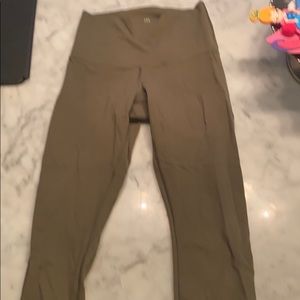 Olive wunder  under crops size 6